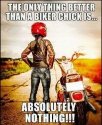 Only thing better than a biker chick..
